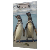 Paar pinguïns op het strand klembord (Links)