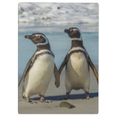 Paar pinguïns op het strand klembord (Achterkant)