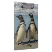 Paar pinguïns op het strand klembord (Rechts)