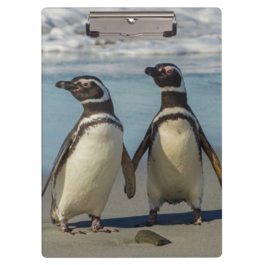 Paar pinguïns op het strand klembord (Voorkant)