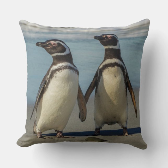 Paar pinguïns op het strand kussen (Voorkant)