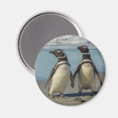 Paar pinguïns op het strand magneet (Voorkant / Achterkant)