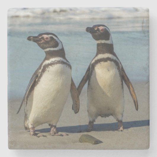Paar pinguïns op het strand stenen onderzetter (Voorkant)