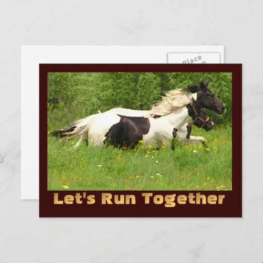 Paar Pintos Briefkaarten (Voorkant / Achterkant)