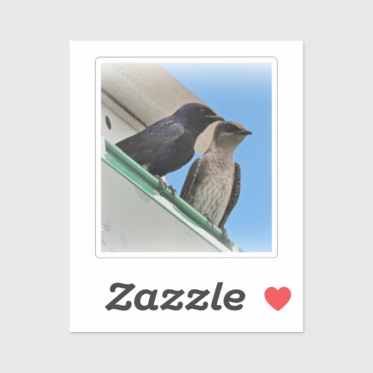 Paar Purperzwaluwen Sticker (Vel)