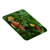 Paar Queen Vlinders Magneet (Rechterzijde)