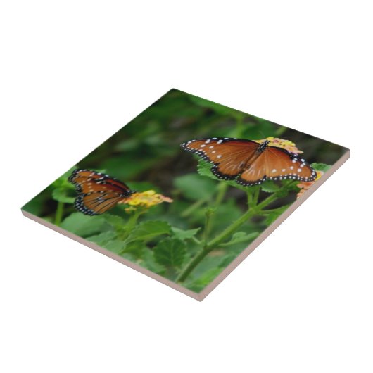 Paar Queen Vlinders Tegeltje (Zijkant)