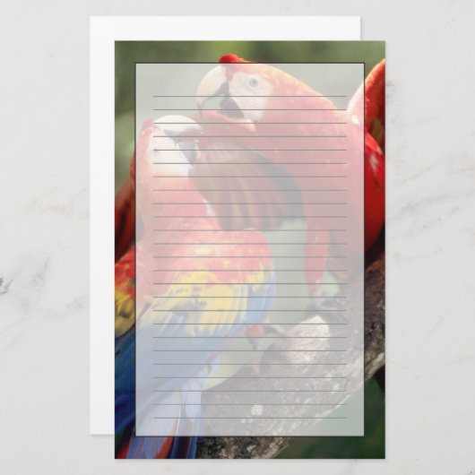 Paar Scarlet Macaws Briefpapier (Voorkant / Achterkant)