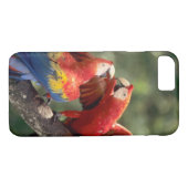 Paar Scarlet Macaws Case-Mate iPhone Case (Achterkant (Horizontaal))