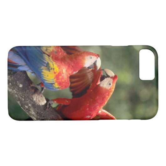 Paar Scarlet Macaws Case-Mate iPhone Case (Achterkant (Horizontaal))