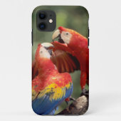 Paar Scarlet Macaws Case-Mate iPhone Case (Achterkant)