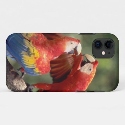 Paar Scarlet Macaws Case-Mate iPhone Case (Achterkant (horizontaal))
