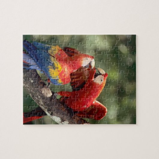 Paar Scarlet Macaws Legpuzzel (Horizontaal)