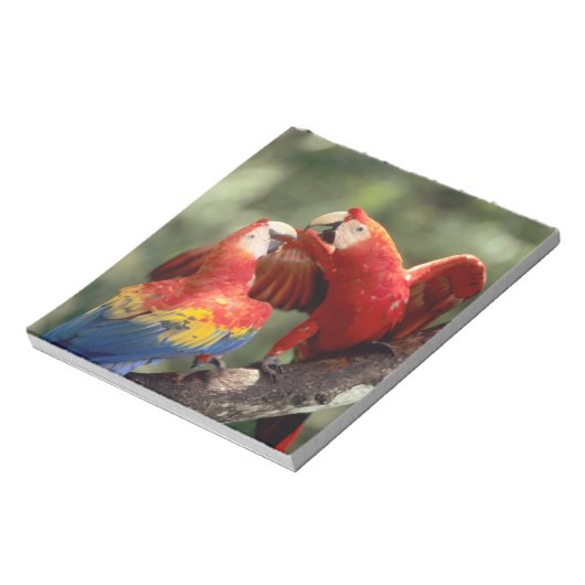 Paar Scarlet Macaws Notitieblok (Linkerzijde)