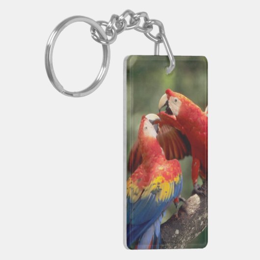 Paar Scarlet Macaws Sleutelhanger (Voorkant Links)