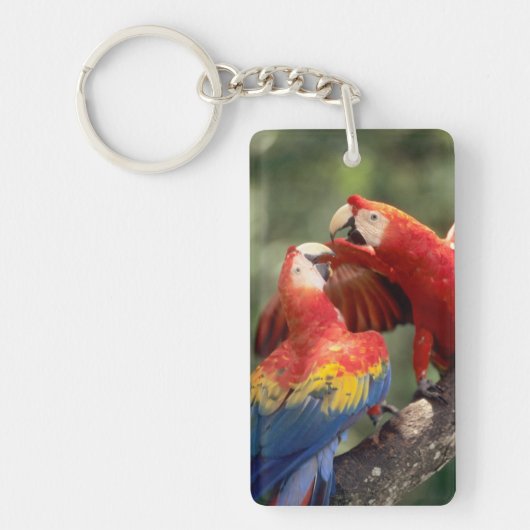 Paar Scarlet Macaws Sleutelhanger (Voorkant)