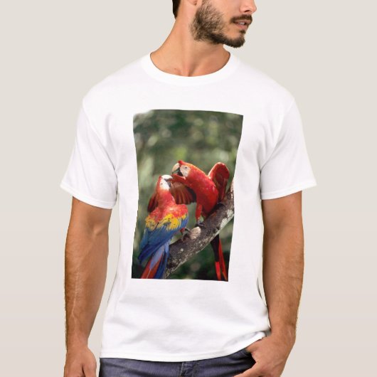 Paar Scarlet Macaws T-shirt (Voorkant)