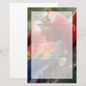 Paar scharlaken ara's briefpapier (Voorkant / Achterkant)