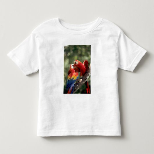Paar scharlaken ara's kinder shirts (Voorkant)