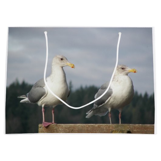 Paar Seagulls Posing op Fence Large Cadeautasje (Voorkant)