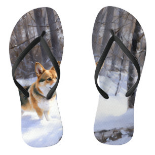 Paar slippers teenslippers