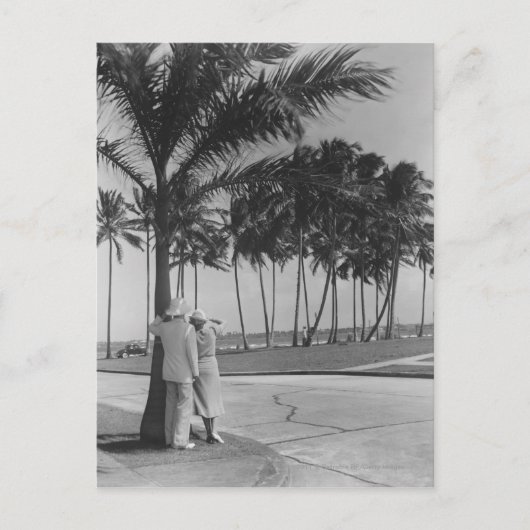 Paar staan bij palmboom Achterste uitzicht B&W Briefkaart (Voorkant)