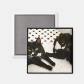Paar Tuxedo Katten magneet (Voorkant / Achterkant)