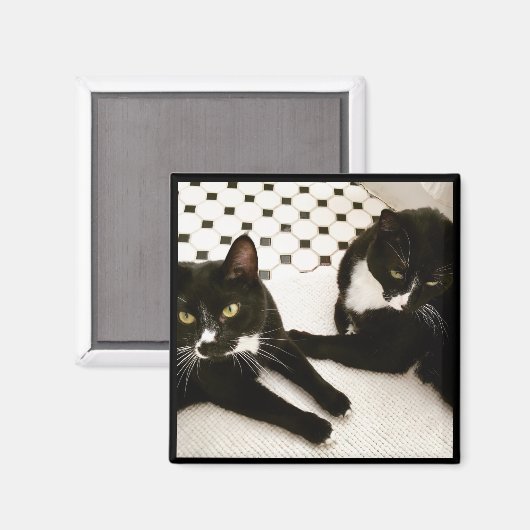 Paar Tuxedo Katten magneet (Voorkant / Achterkant)