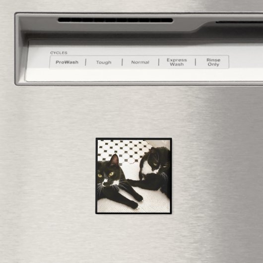 Paar Tuxedo Katten magneet (Insitu (Vaatwasser))