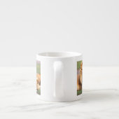 Paar van Afrikaanse Lion, Panthera leo, Tanzania Espresso Kop (Achterkant)