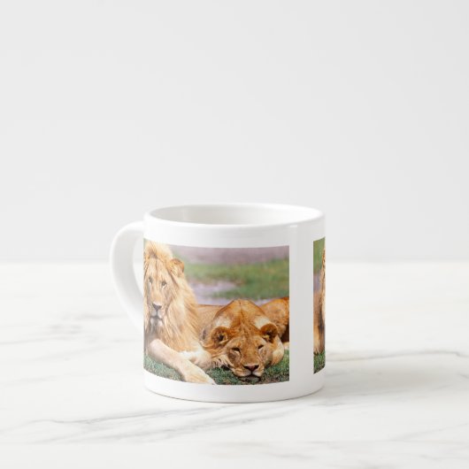 Paar van Afrikaanse Lion, Panthera leo, Tanzania Espresso Kop (Links)