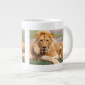 Paar van Afrikaanse Lion, Panthera leo, Tanzania Grote Koffiekop (Voorkant rechts)