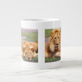 Paar van Afrikaanse Lion, Panthera leo, Tanzania Grote Koffiekop (Voorkant)