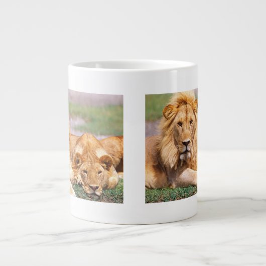 Paar van Afrikaanse Lion, Panthera leo, Tanzania Grote Koffiekop (Voorkant)