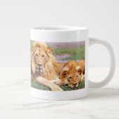 Paar van Afrikaanse Lion, Panthera leo, Tanzania Grote Koffiekop (Rechts)