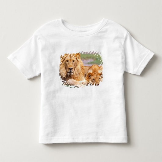 Paar van Afrikaanse Lion, Panthera leo, Tanzania Kinder Shirts (Voorkant)