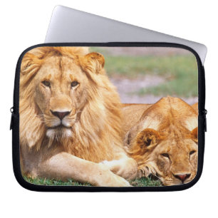 Paar van Afrikaanse Lion, Panthera leo, Tanzania Laptop Sleeve