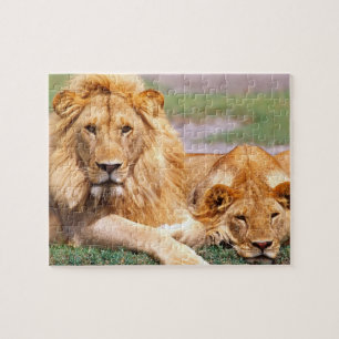 Paar van Afrikaanse Lion, Panthera leo, Tanzania Legpuzzel