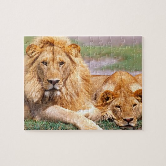 Paar van Afrikaanse Lion, Panthera leo, Tanzania Legpuzzel (Horizontaal)