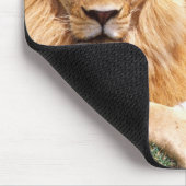 Paar van Afrikaanse Lion, Panthera leo, Tanzania Muismat (Hoek)