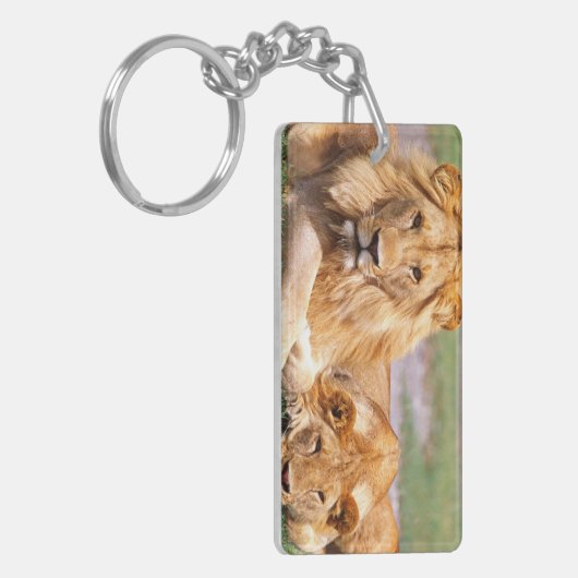 Paar van Afrikaanse Lion, Panthera leo, Tanzania Sleutelhanger (Voorkant Links)