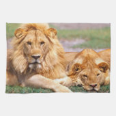 Paar van Afrikaanse Lion, Panthera leo, Tanzania Theedoek (Horizontaal)