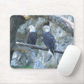 Paar van Bald Eagles Muismat (Met muis)