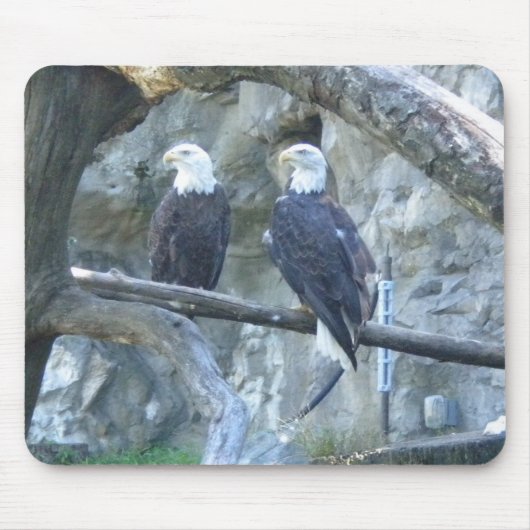 Paar van Bald Eagles Muismat (Voorkant)