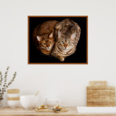 Paar van Bengal Kittens Poster (Keuken)