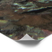 Paar van Bigeyes Poster (Hoek)