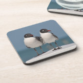 Paar van Black Headed Gulls Bier Onderzetter (Linkerzijde)