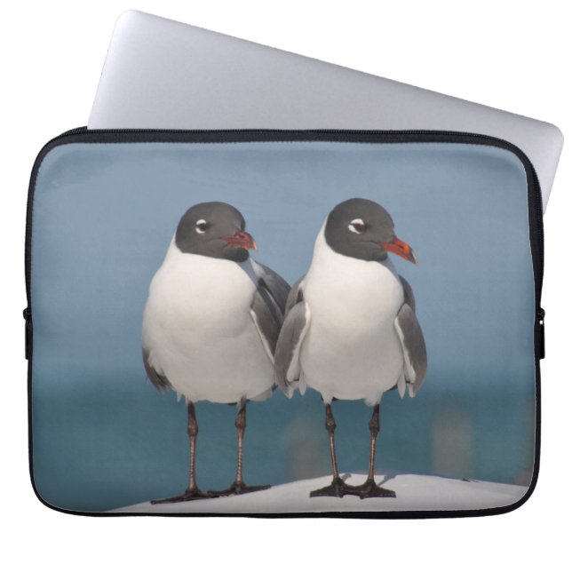 Paar van Black Headed Gulls Laptop Sleeve (Voorkant)