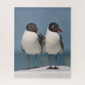 Paar van Black Headed Gulls Legpuzzel (Verticaal)