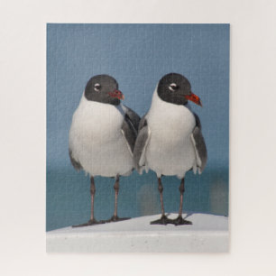 Paar van Black Headed Gulls Legpuzzel
